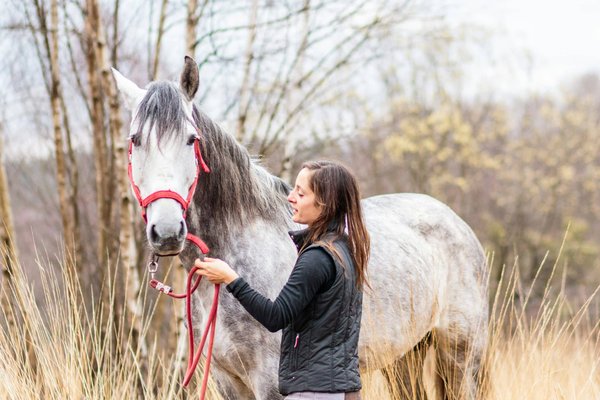 Guide essentiel de l'équitation et équipement équestre